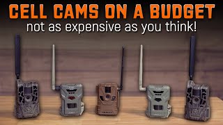 How to Operate Cell Cameras on a Budget?