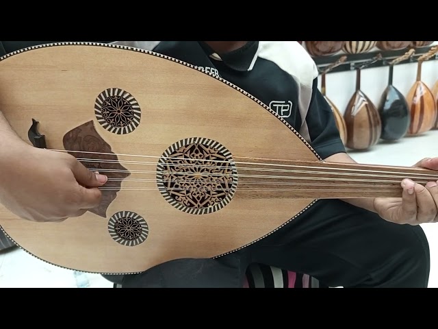 متوفر الحجز المسبق فقط عود موسيقي احترافي نص لوكس