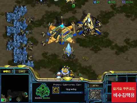 BW FPVBisu v Mong PvT 141006 1Set Fighting Spirit