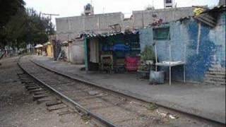 los caminos de la vida