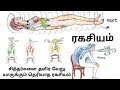 PART 2 DHARANAI சித்தர்களின் யாரும் அறியாத அஷ்