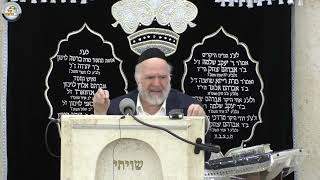 הרב ברוך רוזנבלום   פרשת תרומה ה׳תשפ״ו (רבנים שונים) - התמונה מוצגת ישירות מתוך אתר האינטרנט יוטיוב. זכויות היוצרים בתמונה שייכות ליוצרה. קישור קרדיט למקור התוכן נמצא בתוך דף הסרטון