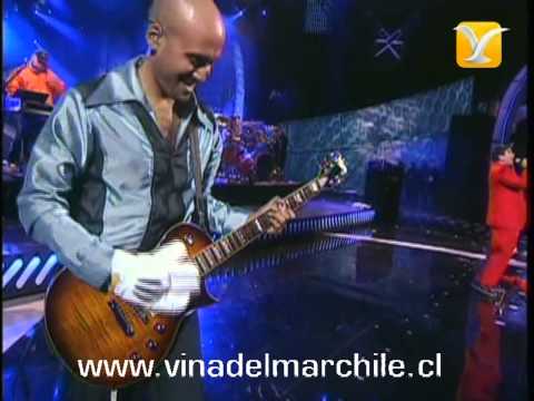 Sinergia, Mi Señora, Festival de Viña 2008