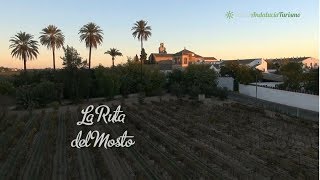 preview picture of video 'La ruta del mosto en el Aljarafe, Sevilla'