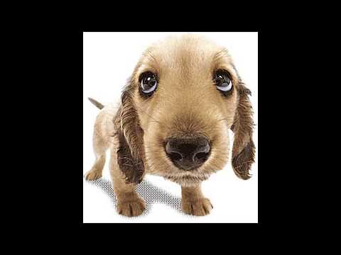 FACEBUKIYA - හඳට ගිය ලොකුමල්ලී සහ ඈන් ................ :) ;) :P :D