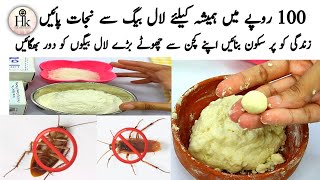 Safe and Effect Way To Kill Cockroaches | Remedies To Get Rid Of Cockroach By Hareem
