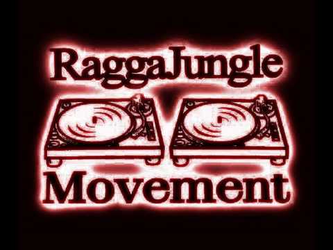 DJ VOCODA Sensi Brains Kan Recordings 2009