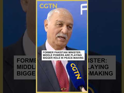 Former Pakistani minister: Middle powers are playing bigger role in peace-making