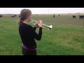 Music for cows! 