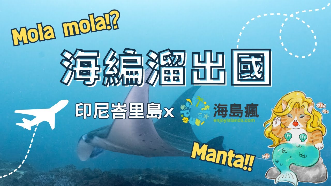 【印尼 峇里島】21～29度的瘋狂水溫！峇里島潛水就是要看 Manta、Mola 大物 ft. 海島瘋 HDR
