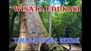 preview picture of video 'WISATA EDUKASI TAMAN NASIONAL BERBAK & SEMBILANG | air hitam dalam'