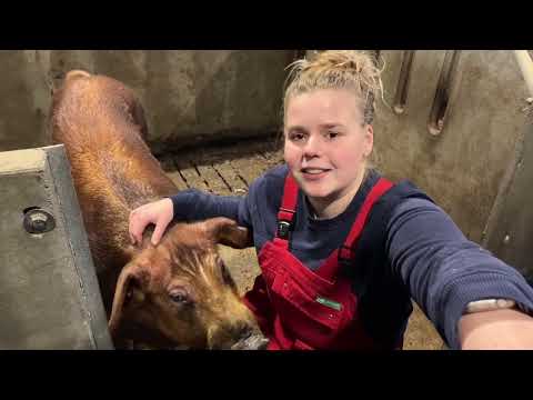 Een kijkje door het sperma-win-centrum KLASSE Son