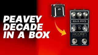 Video thumbnail for Acorn Solid State Preamplifier - a Peavey Decade in a box by We As A Company