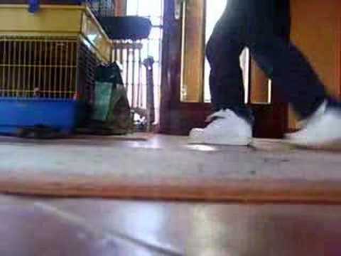 c-walk by jerryco... With DADA shoes