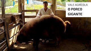 Miniatura do vídeo