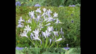 Françoise  Hardy .....  All Over the world.