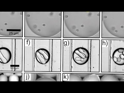 Carol Hall Portrait