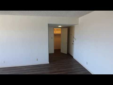 PL8913 - Big 1 Bed + 1 Bath Apartment For Rent (Los Angeles, CA - Hollywood).