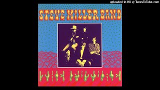 Steve Miller Band - Junior Saw It Happen - Vinyl Rip