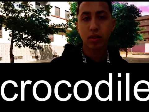 CROCODILE 36_ zahri allô (vidio clip)