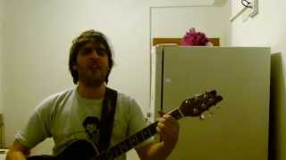 Flying to my Home by Javi (Paul McCartney Cover)