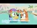 Bluey S Swim School Bluey
