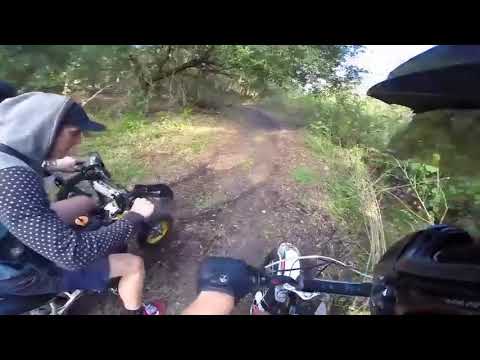 Dog sounds like a Motocross