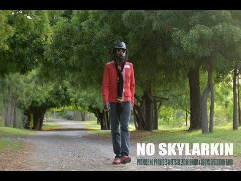 Promise No Promises meets Blend Mishkin & Roots Evolution Band - No Skylarking (official video)