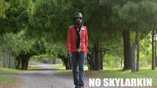 Promise No Promises meets Blend Mishkin & Roots Evolution Band - No Skylarking (official video)
