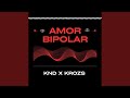 AMOR_BIPOLAR.MP3 (feat. KROZS)