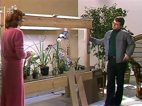 Hobbythek - Zauberwelt der Orchideen