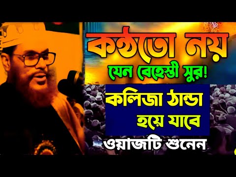 কলিজা ঠান্ডা হয়ে যাবে ওয়াজটি শুনেন | allama delwar hussain saidi waz | দেলোয়ার হোসেন সাঈদীর ওয়াজ