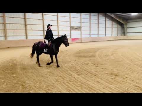 Katie and Casanova 5.8 18”