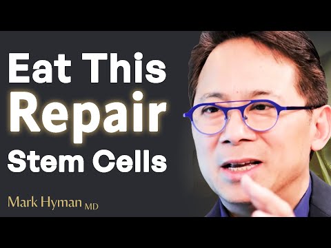 Can Food Reactivate Your Stem Cells? | Dr. William Li