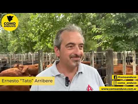 Ernesto “Tato” Arribere; Arribere Ugarte y Cía. Rauch 6/1/26.