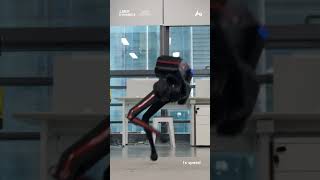 🔍 Discover More About Multi-Modal Biped Robot TRON 1 on Point-foot Foot-end ⚫️