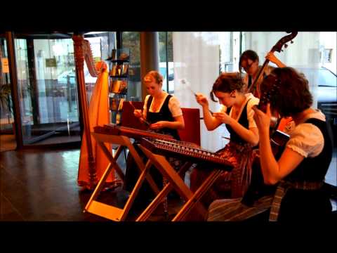 Die Vielsaitigen - Vierteljahrhundert Dreiviertler