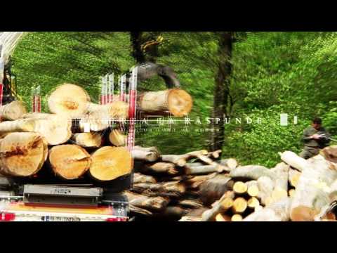 Intro Ancheta T G N Defrisare Neamt