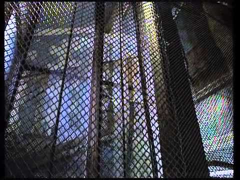 Wehner - Die unerzählte Geschichte Teil1 Hotel Lux