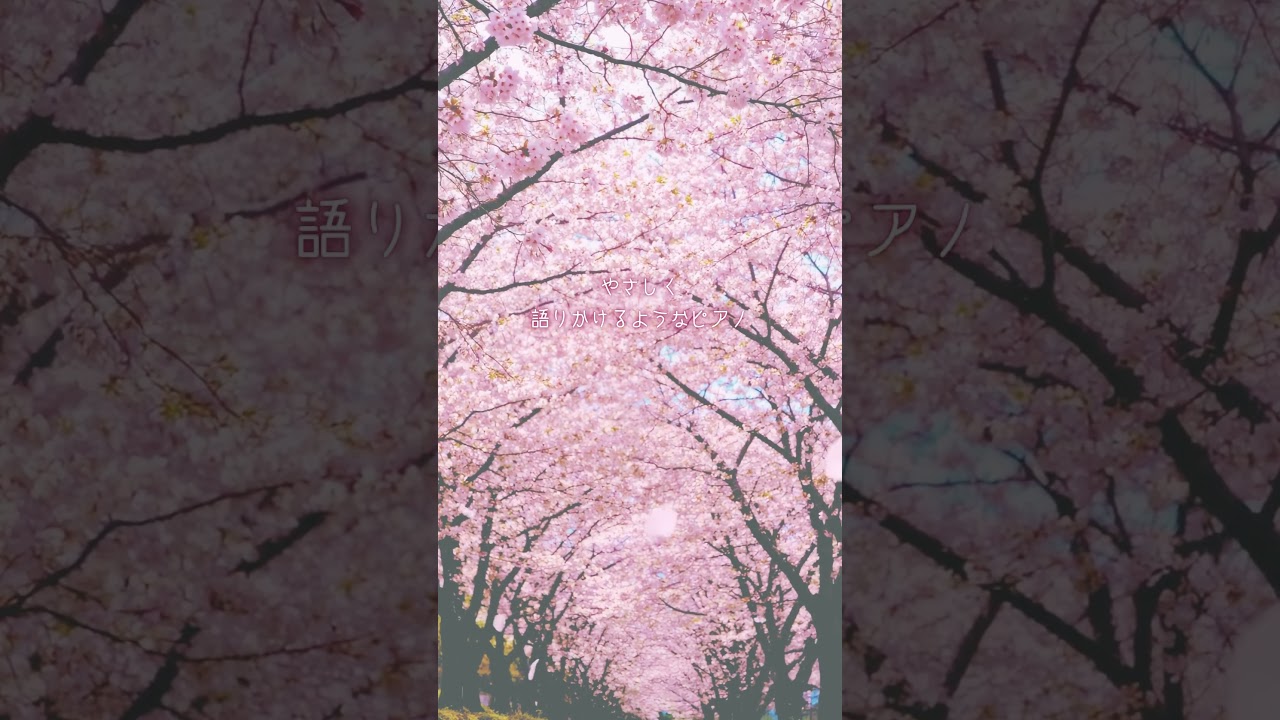 癒しの動画 ーリラクシング・ピアノ～ベスト フォーエバー・ソングス3ー #bgm #春 #さくら の日