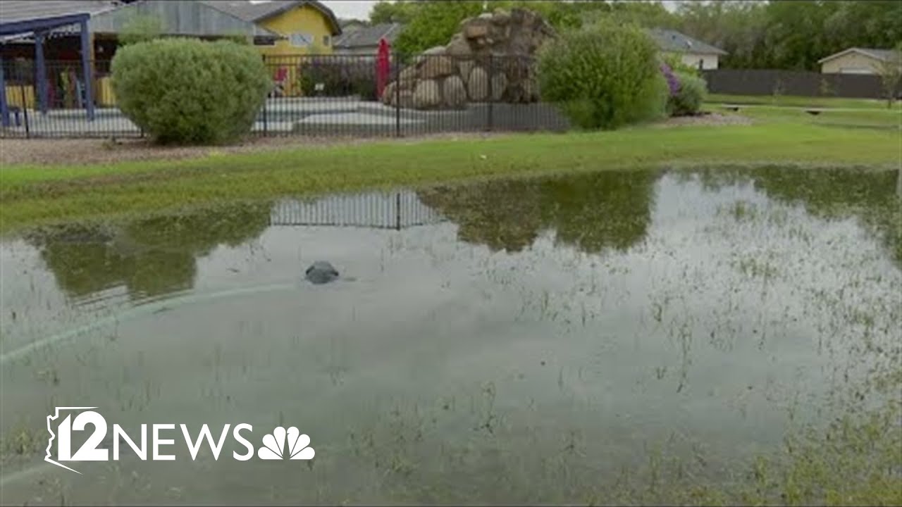 Gilbert family wakes to flooded basement after overnight rain