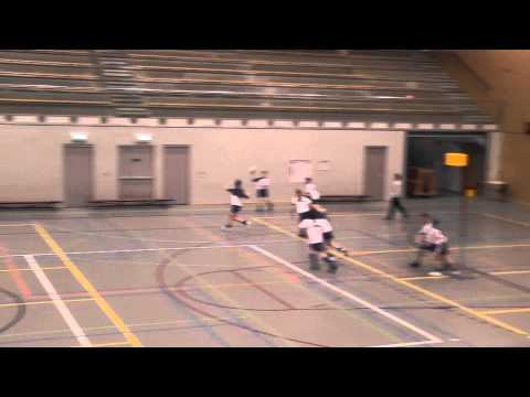 Phoenix D1 Meervogels D3 3