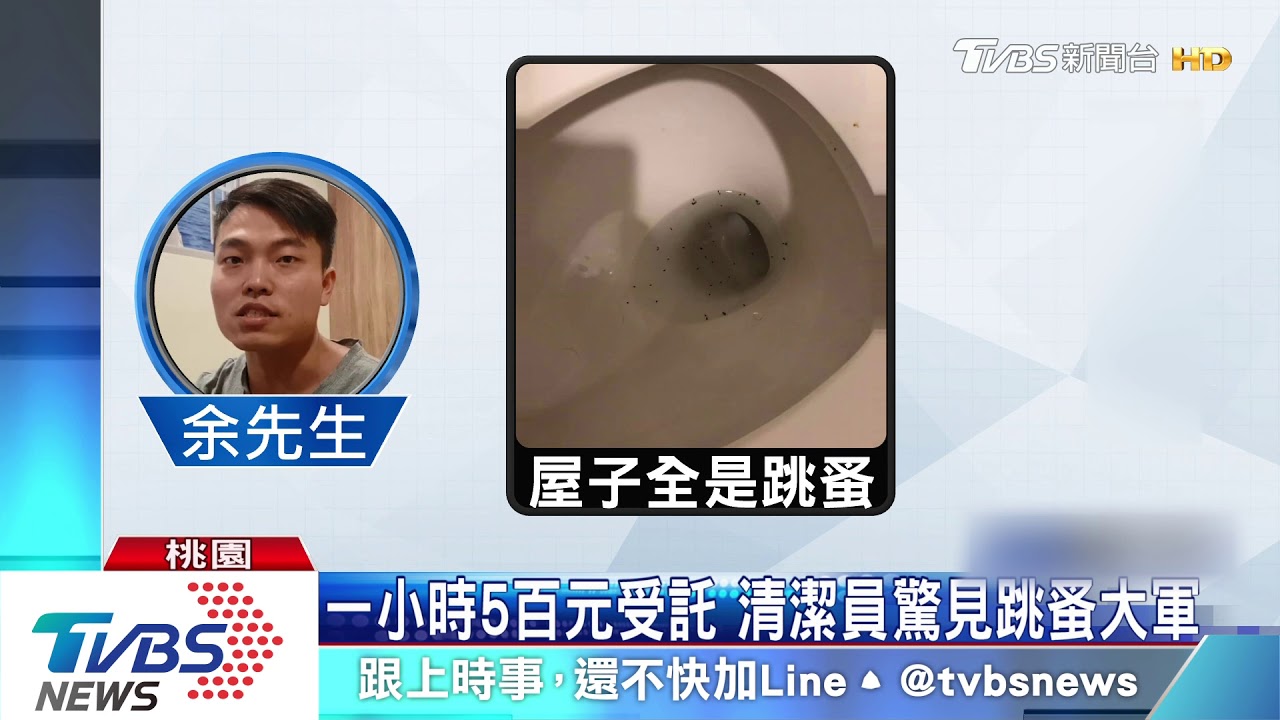 疑刻意隱瞞！屋藏上萬跳蚤　清潔員慘被咬