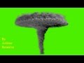 GREEN SCREEN VORTEX