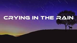 The Everly Brothers - Crying In The Rain ( Lyrics )