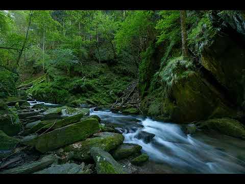 Marius Gorcea, Speranta-Lacrimile De Durere Volumul 6