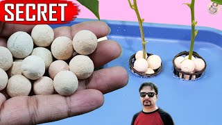 SECRET: GROW CUTTINGS 500% FASTER | Gardening Ideas Hacks DIY