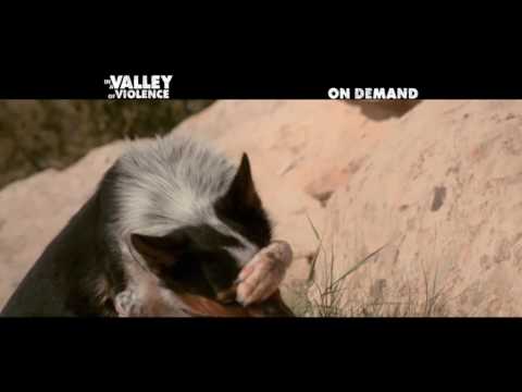 In A Valley of Violence - Trailer - Own it Now on Digital HD & 12/27 on Blu-ray