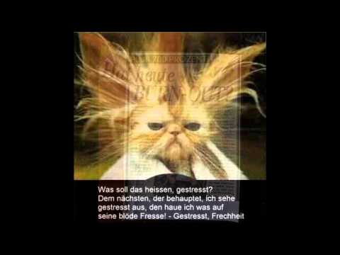 Mind Master - Martina Kühner