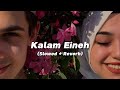 Sherine - Kalam Eineh | شيرين - كلام عينيه ( Slowed + Reverb )